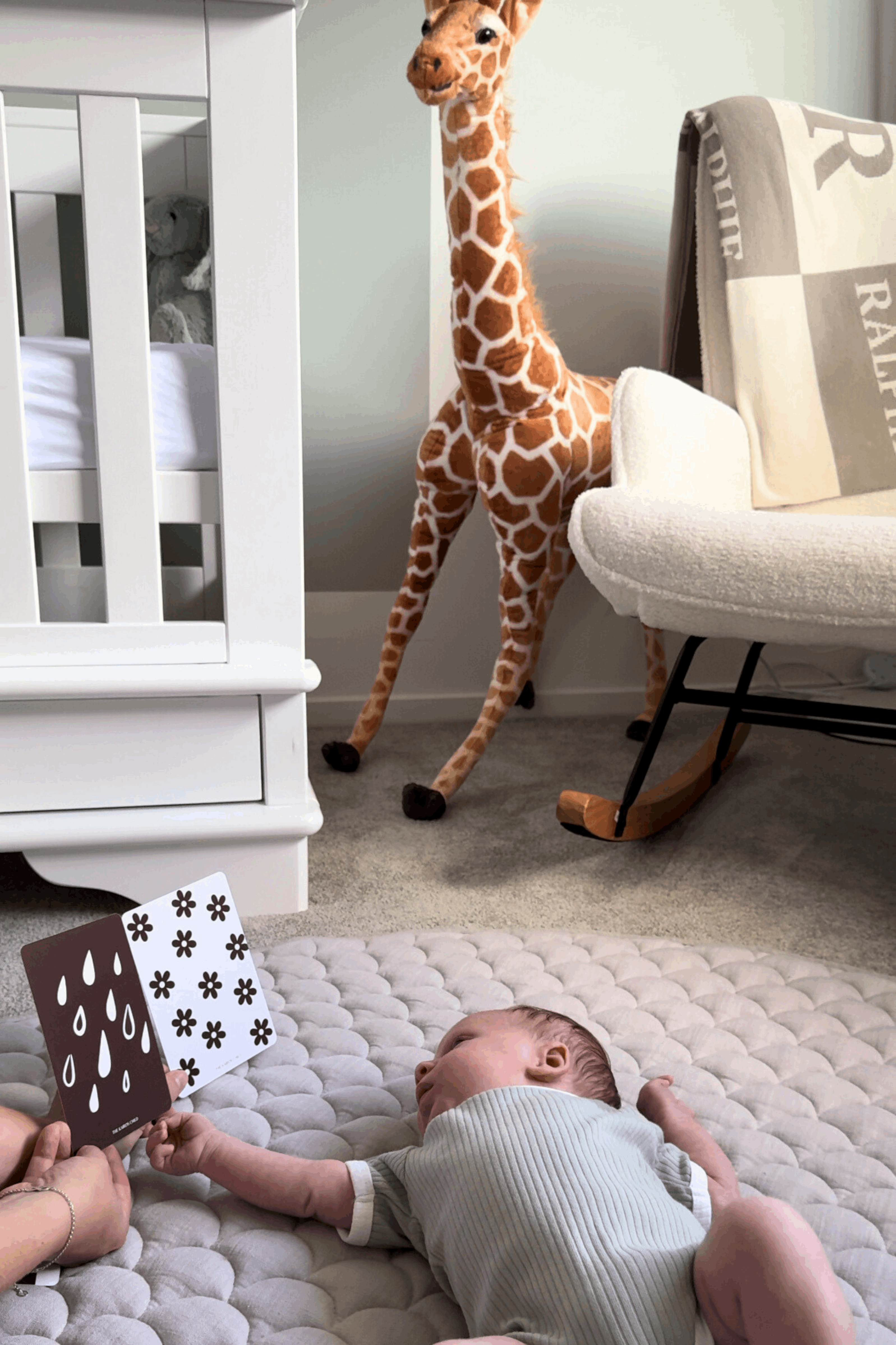 High Contrast Baby Cards